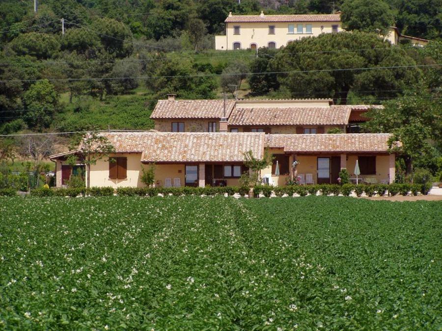 Agriturismo Casale Del Contadino Bolsena Exterior photo