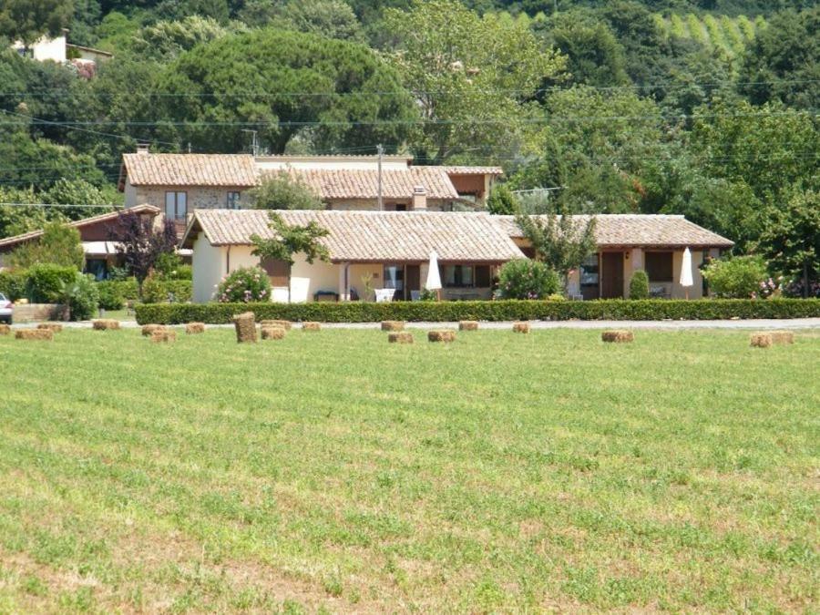 Agriturismo Casale Del Contadino Bolsena Exterior photo