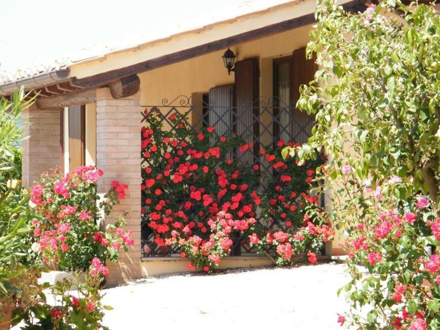 Agriturismo Casale Del Contadino Bolsena Exterior photo